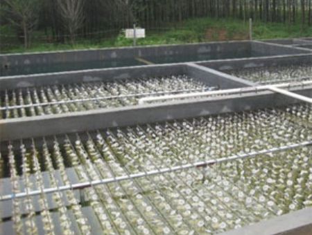 點擊查看詳細信息<br>標題：養殖污水處理 閱讀次數：4736
